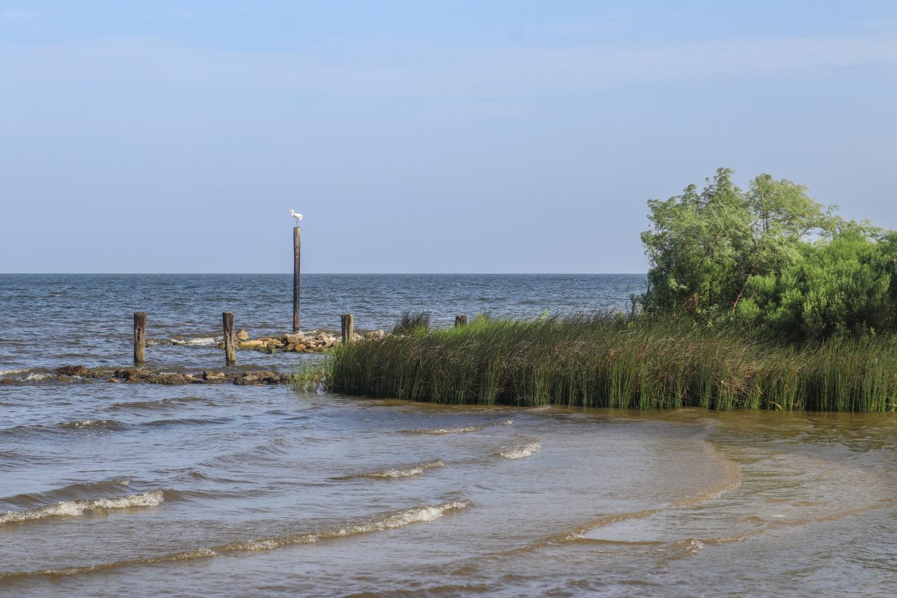 City Assesses The Feasibility Of Reopening Lincoln Beach, The Historic 