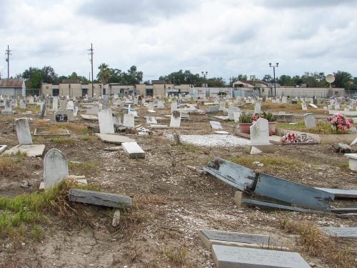 Holt Cemetery in New Orleans, showing rows of weathered and damaged grave markers across the cemetery grounds.