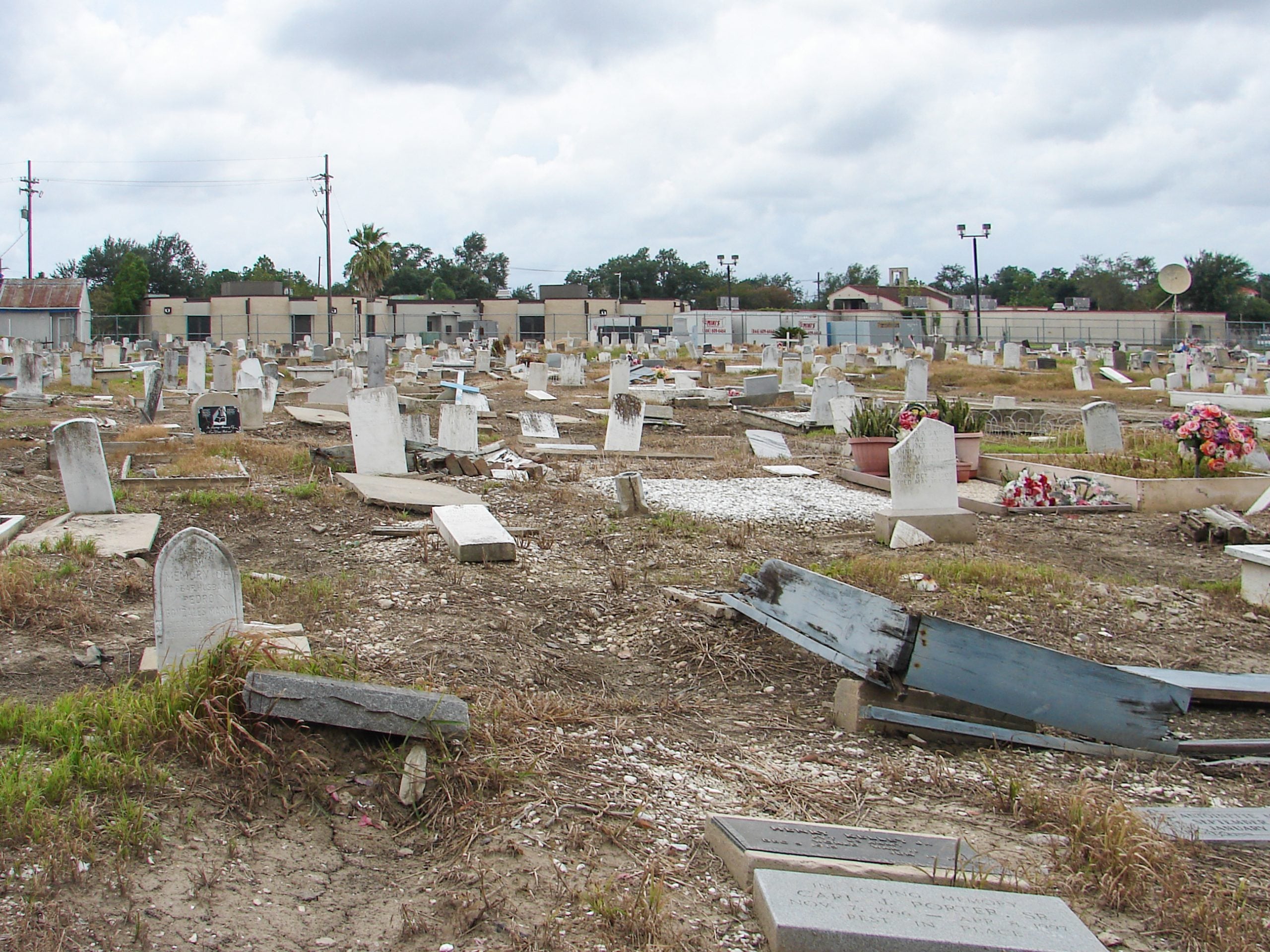 Holt Cemetery in New Orleans, showing rows of weathered and damaged grave markers across the cemetery grounds.