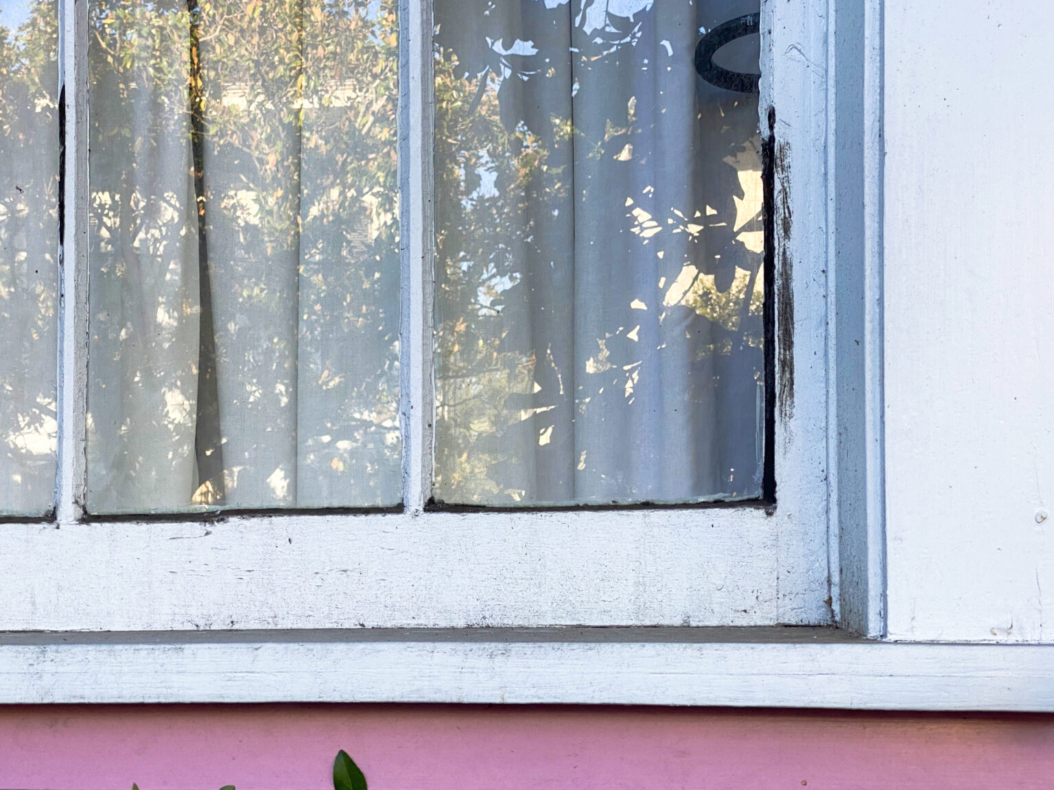 Ask the expert how to fix moldy window glazing