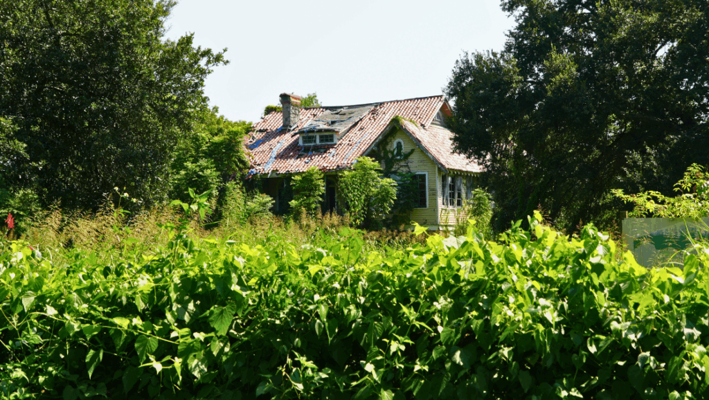Understanding New Orleans’ Historic Cemeteries | Preservation Resource ...