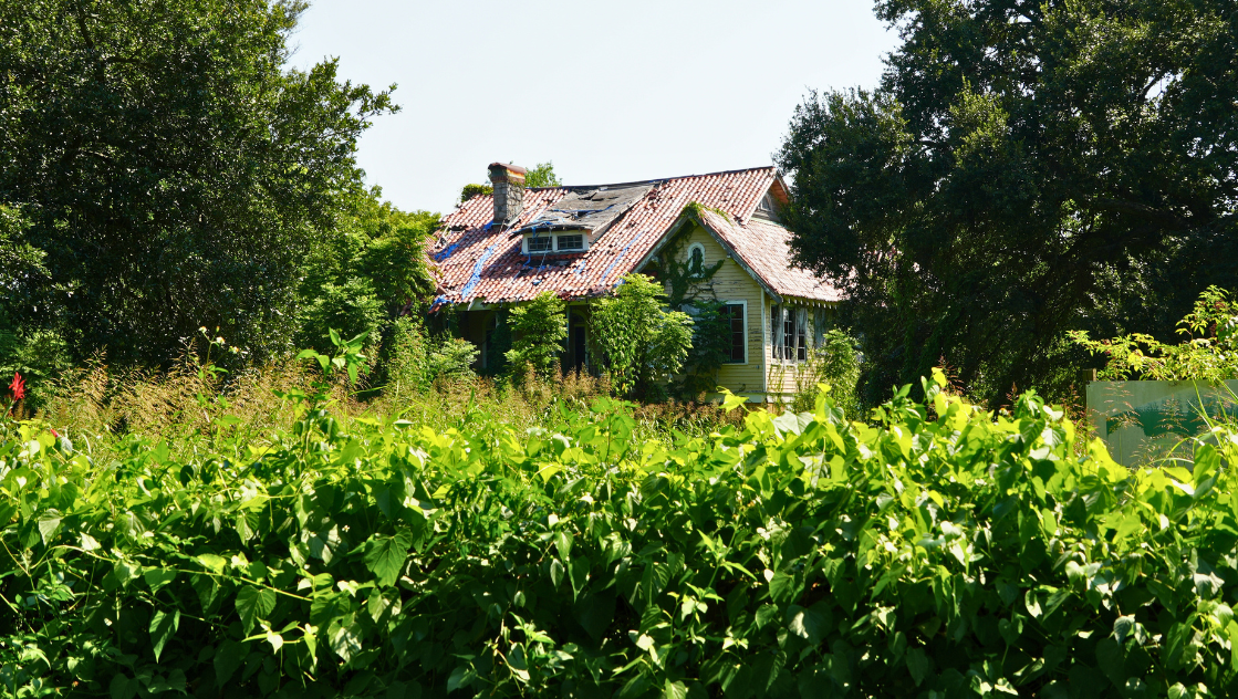 The Dr. Alfred and Minnie King House in Algiers