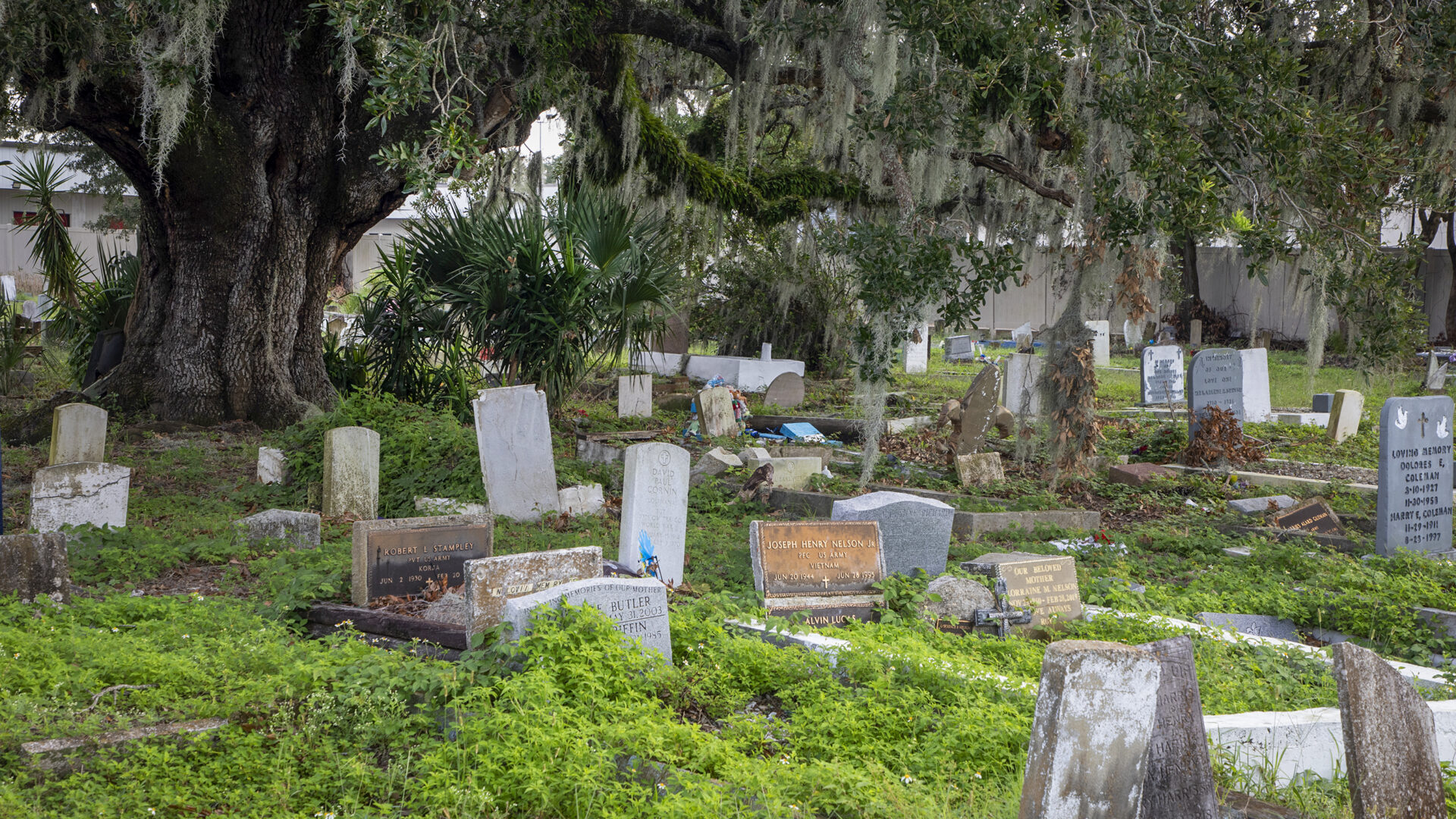 Holt Cemetery. Image by Charles E. Leche