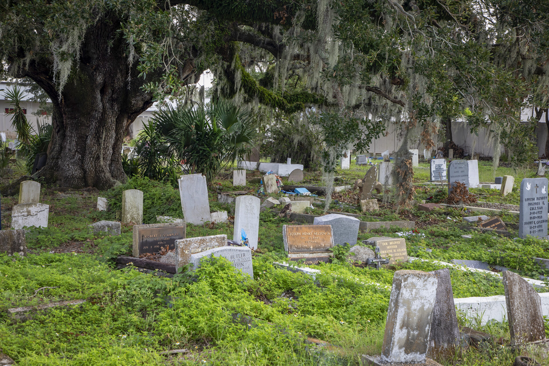 Holt Cemetery. Image by Charles E. Leche