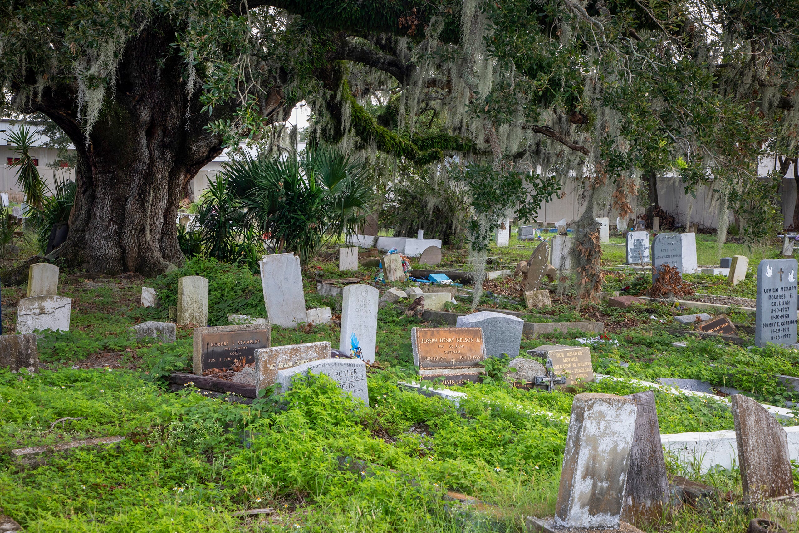 Holt Cemetery. Image by Charles E. Leche