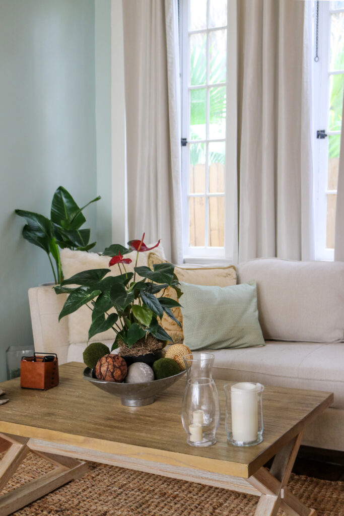 Home of Camille Whitworth