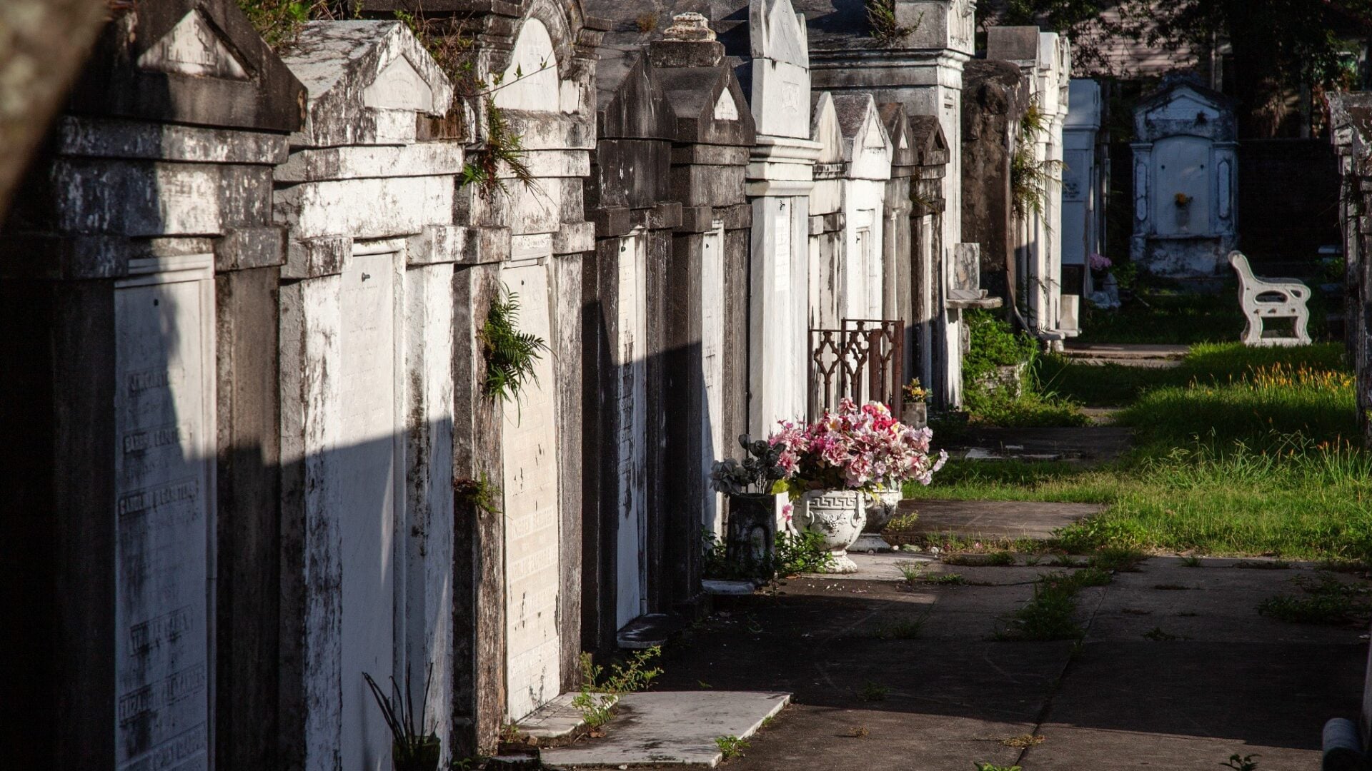 A row of historic above-ground tombs lines a quiet cemetery walkway, their weathered white stone facades catching the warm light of the late afternoon sun. Flowers rest beside several family tombs as grass and small plants emerge between the paving stones, highlighting the cemetery's age and ongoing care. The long perspective emphasizes the distinctive architecture and serene atmosphere of New Orleans' historic burial grounds.