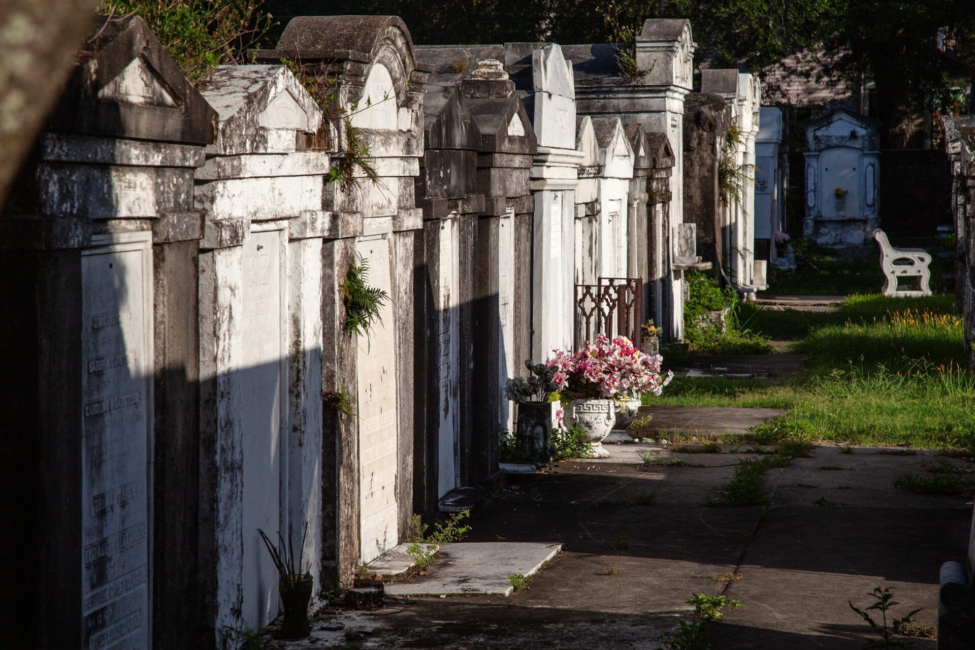 A row of historic above-ground tombs lines a quiet cemetery walkway, their weathered white stone facades catching the warm light of the late afternoon sun. Flowers rest beside several family tombs as grass and small plants emerge between the paving stones, highlighting the cemetery's age and ongoing care. The long perspective emphasizes the distinctive architecture and serene atmosphere of New Orleans' historic burial grounds.