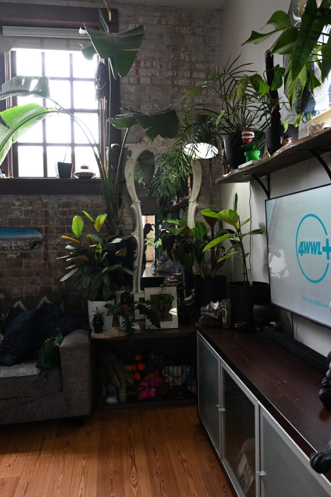 Plant-filled living room with exposed brick walls, large mirror and television